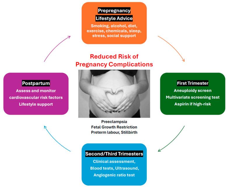 https://cdn.ncbi.nlm.nih.gov/pmc/blobs/a88e/11313446/27646cac15d3/jcm-13-04344-g001.jpg