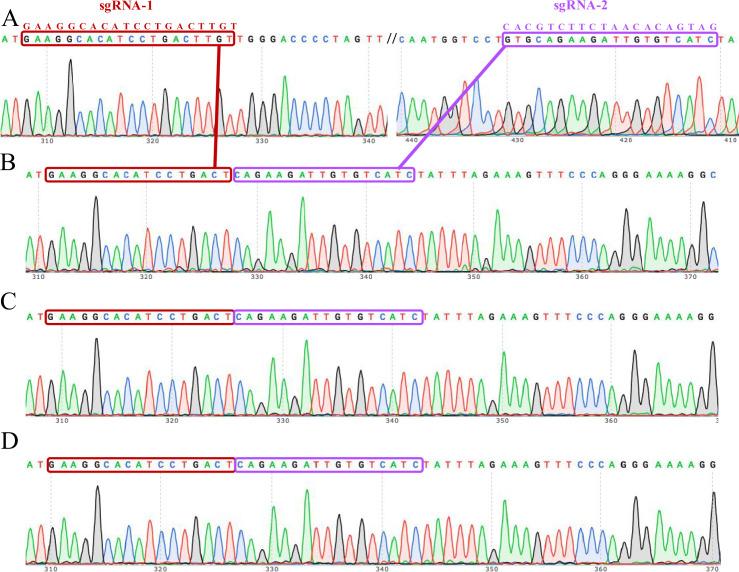 https://cdn.ncbi.nlm.nih.gov/pmc/blobs/a88e/12124833/0ef80ae8029b/elife-101236-fig2-figsupp3.jpg