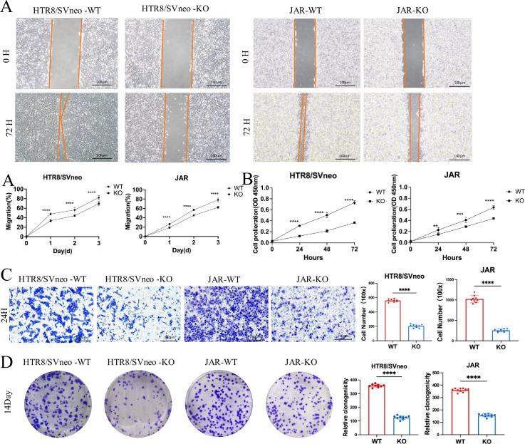 https://cdn.ncbi.nlm.nih.gov/pmc/blobs/a88e/12124833/fce0e0132c74/elife-101236-fig3.jpg
