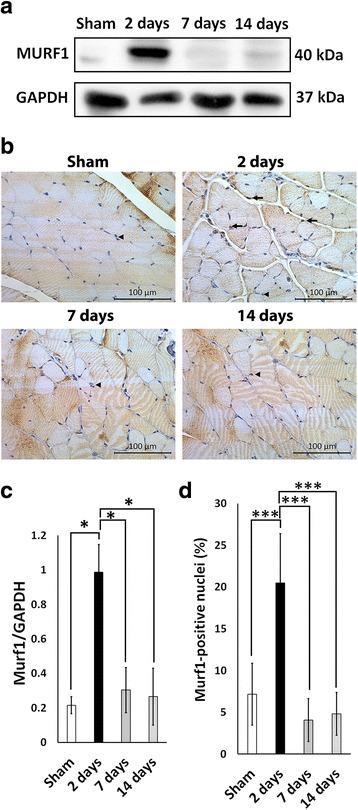 https://cdn.ncbi.nlm.nih.gov/pmc/blobs/a88f/5646146/6353c6cb90ba/13287_2017_686_Fig2_HTML.jpg