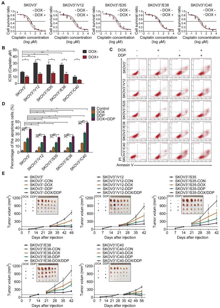 https://cdn.ncbi.nlm.nih.gov/pmc/blobs/a88f/6401400/51a8c8880d5a/thnov09p1096g003.jpg