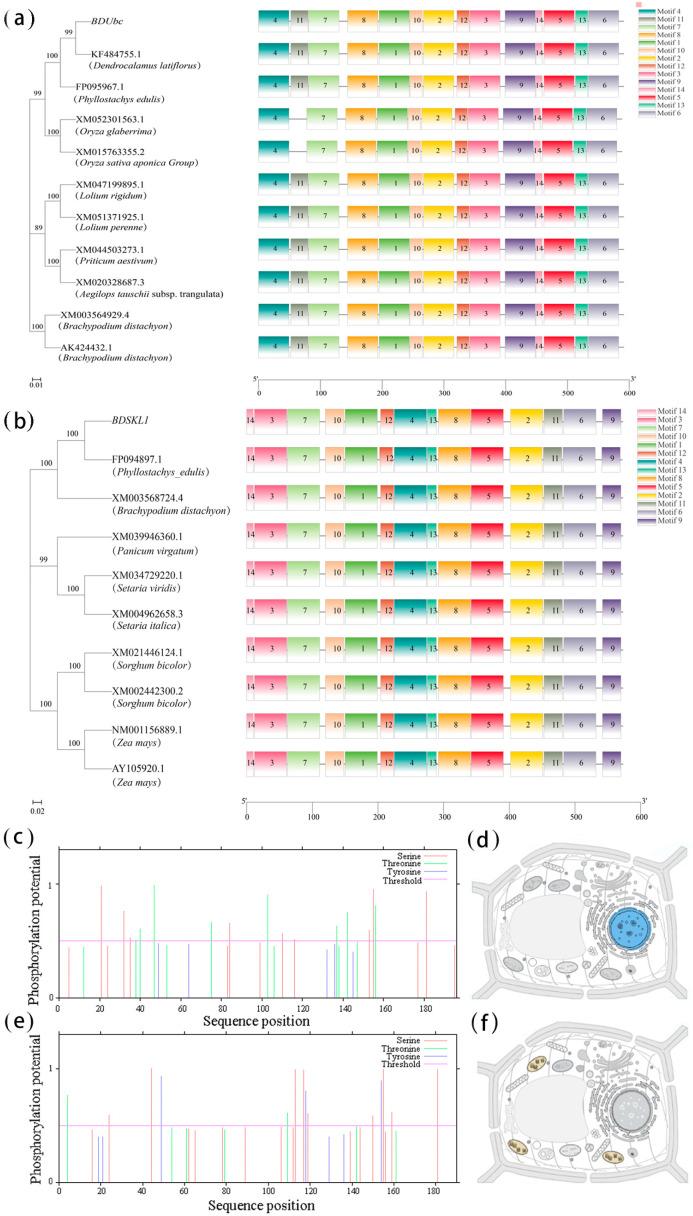 https://cdn.ncbi.nlm.nih.gov/pmc/blobs/a890/10779405/c57a36762716/ijms-25-00569-g001.jpg