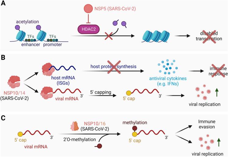 https://cdn.ncbi.nlm.nih.gov/pmc/blobs/a890/10894183/0d83f2b990a8/11033_2024_9266_Fig5_HTML.jpg