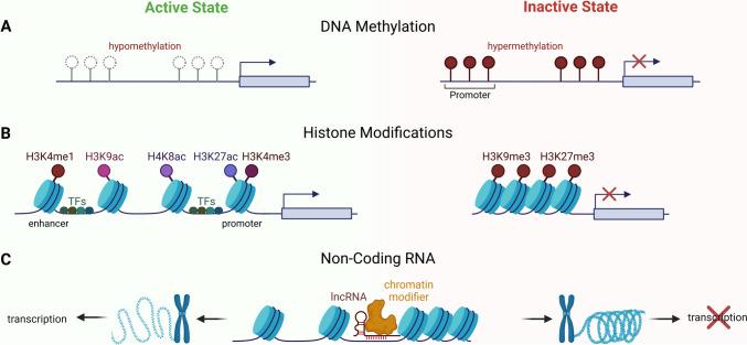 https://cdn.ncbi.nlm.nih.gov/pmc/blobs/a890/10894183/3ddf9932605c/11033_2024_9266_Fig1_HTML.jpg