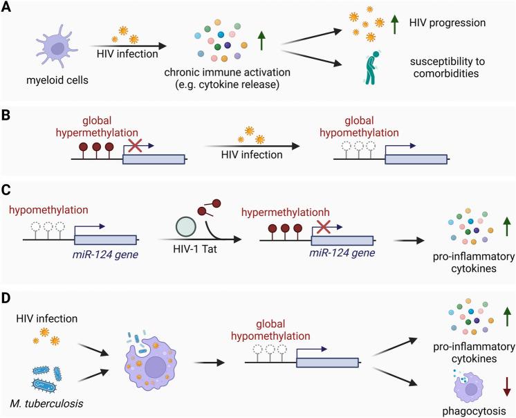 https://cdn.ncbi.nlm.nih.gov/pmc/blobs/a890/10894183/dc42d2083a07/11033_2024_9266_Fig2_HTML.jpg