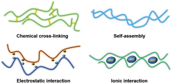https://cdn.ncbi.nlm.nih.gov/pmc/blobs/a892/11468492/b9735d1e6c27/ADMA-33-2005569-g004.jpg