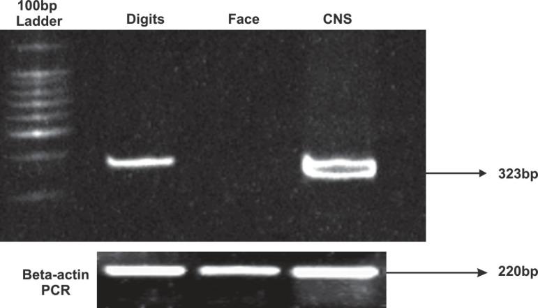 https://cdn.ncbi.nlm.nih.gov/pmc/blobs/a893/4246379/a726a49b09ed/jaos-18-05-0482-g02.jpg