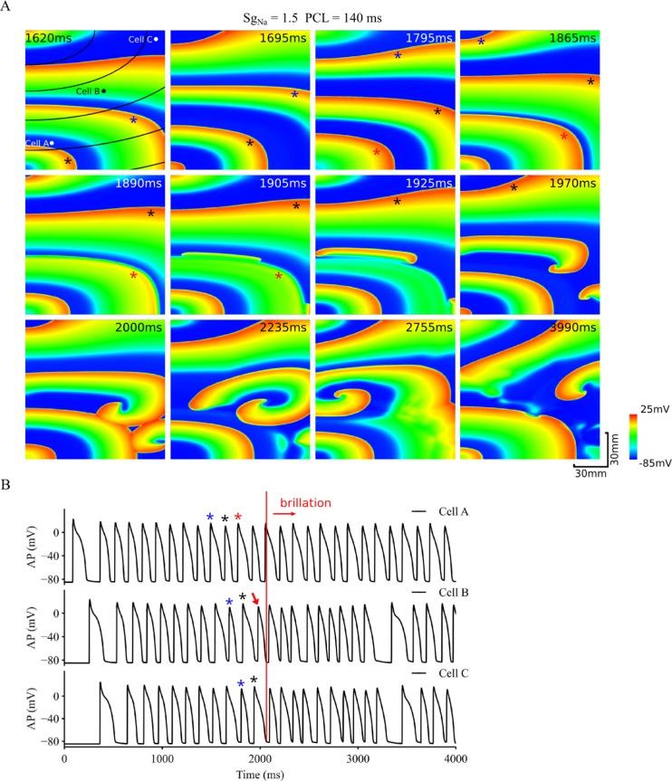 https://cdn.ncbi.nlm.nih.gov/pmc/blobs/a894/6291170/430467c233fc/pcbi.1006594.g008.jpg