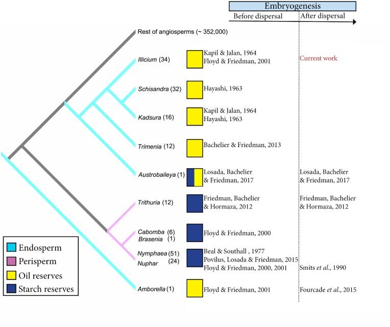 https://cdn.ncbi.nlm.nih.gov/pmc/blobs/a895/10755177/050b31fa3a48/icad078fig1.jpg