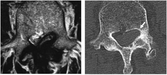 https://cdn.ncbi.nlm.nih.gov/pmc/blobs/a896/4345727/ea1a44f47fc8/2186-3326-76-0195-g002.jpg