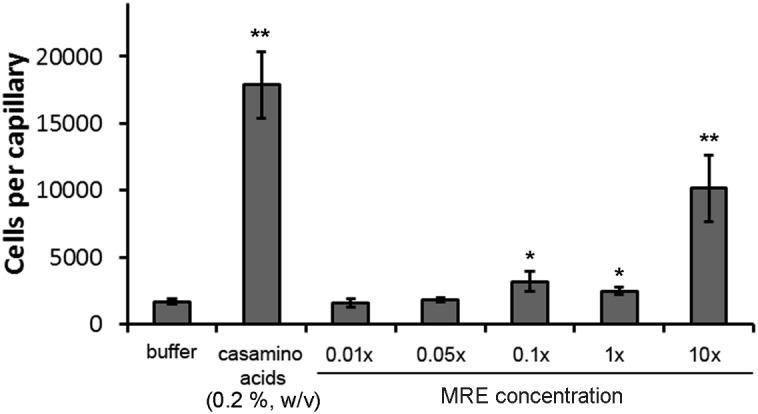 https://cdn.ncbi.nlm.nih.gov/pmc/blobs/a899/6363813/e16aee95e4a2/fmicb-10-00078-g003.jpg
