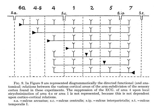 https://cdn.ncbi.nlm.nih.gov/pmc/blobs/a89b/2442722/35ccf6105e0b/yjbm_81_1_11_g02.jpg