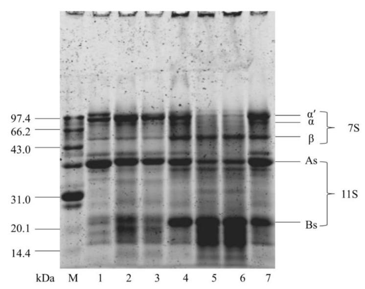 https://cdn.ncbi.nlm.nih.gov/pmc/blobs/a89b/7821937/5aa9479e399d/foods-10-00002-g004.jpg