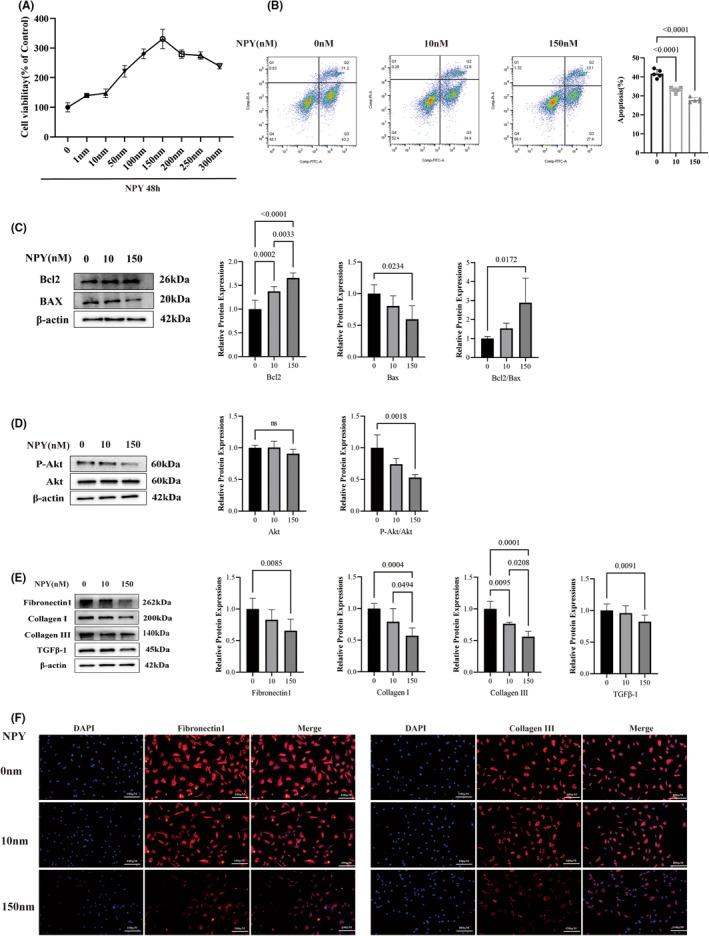 https://cdn.ncbi.nlm.nih.gov/pmc/blobs/a89e/11303123/431621ab44c2/JCMM-28-e18582-g001.jpg