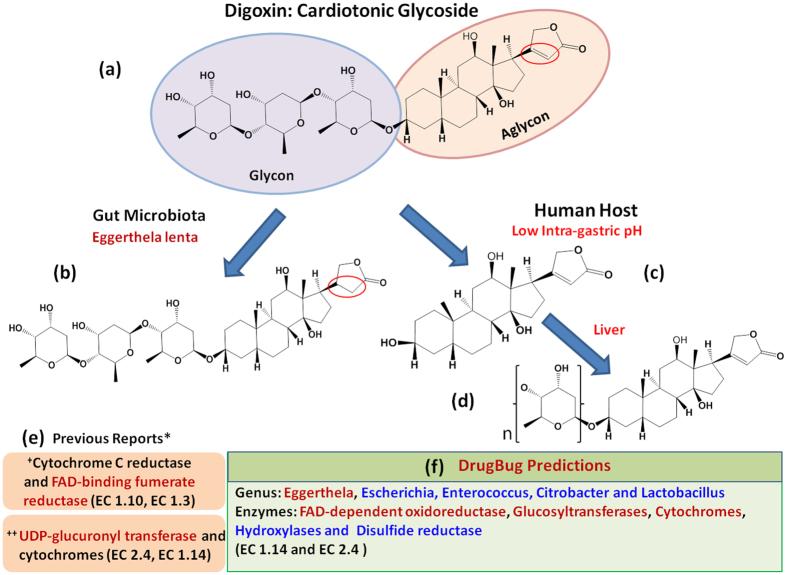 https://cdn.ncbi.nlm.nih.gov/pmc/blobs/a89f/5575299/2937a21c781f/41598_2017_10203_Fig4_HTML.jpg