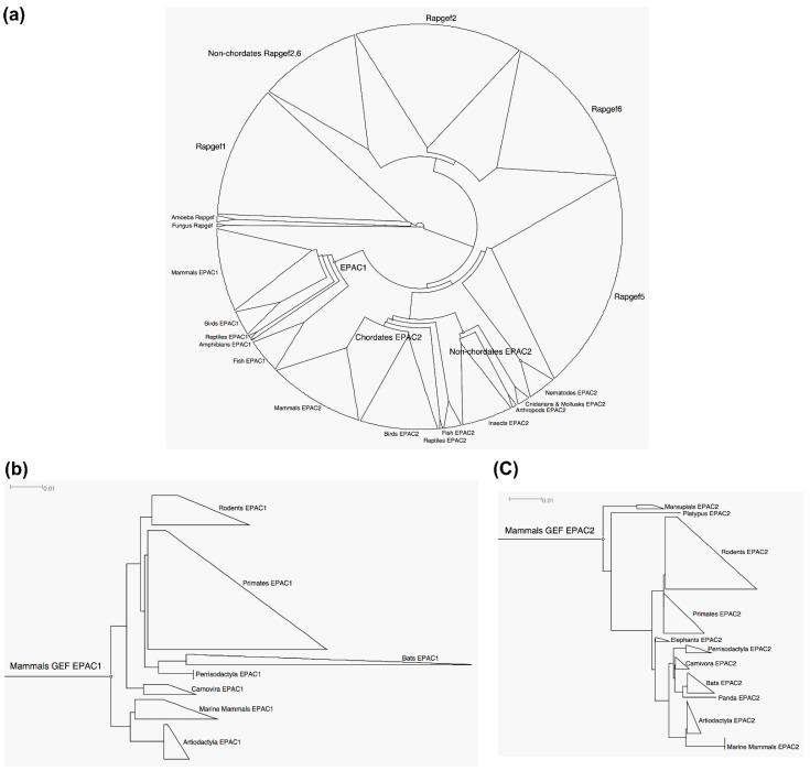 https://cdn.ncbi.nlm.nih.gov/pmc/blobs/a8a0/8534922/30cba4eda894/cells-10-02750-g004.jpg