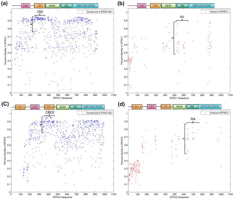 https://cdn.ncbi.nlm.nih.gov/pmc/blobs/a8a0/8534922/8c726dbacbf2/cells-10-02750-g005.jpg
