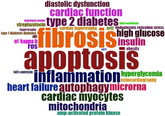 https://cdn.ncbi.nlm.nih.gov/pmc/blobs/a8a0/9630656/4a75db7d85ad/fcvm-09-1018841-g009.jpg