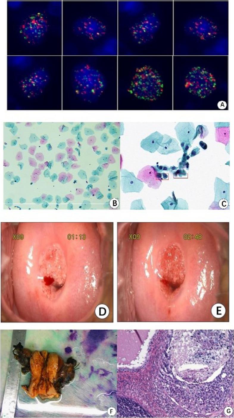 https://cdn.ncbi.nlm.nih.gov/pmc/blobs/a8a1/11681657/025fca09edef/12885_2024_13355_Fig6_HTML.jpg