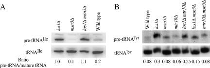 https://cdn.ncbi.nlm.nih.gov/pmc/blobs/a8a1/2820427/bd7c76916525/zmk0041093490001.jpg