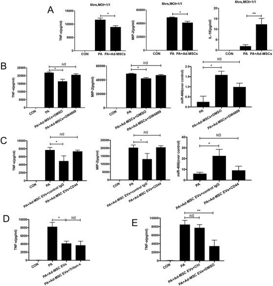 https://cdn.ncbi.nlm.nih.gov/pmc/blobs/a8a2/7805403/263b81ee0905/CTM2-11-e287-g004.jpg