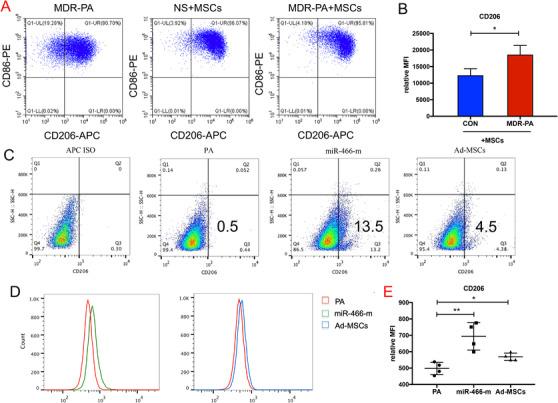 https://cdn.ncbi.nlm.nih.gov/pmc/blobs/a8a2/7805403/559c0577777a/CTM2-11-e287-g002.jpg