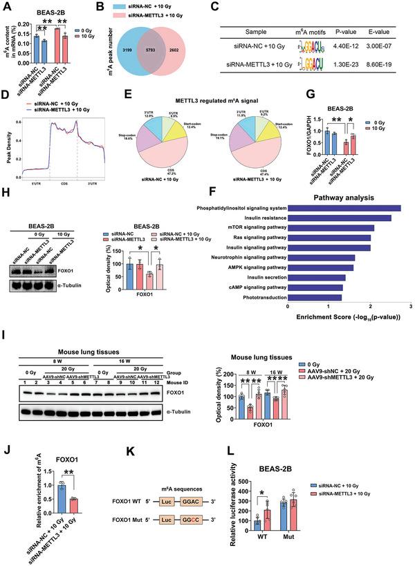 https://cdn.ncbi.nlm.nih.gov/pmc/blobs/a8a3/10265050/1a34ea30de9e/ADVS-10-2204784-g003.jpg