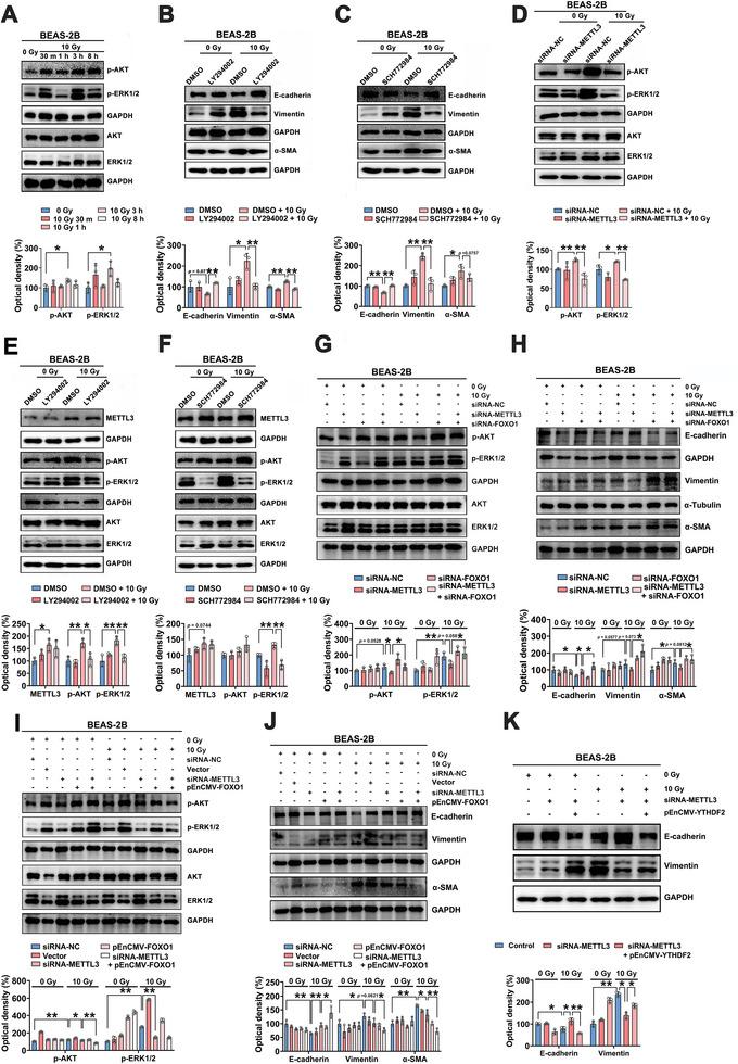 https://cdn.ncbi.nlm.nih.gov/pmc/blobs/a8a3/10265050/69800fece558/ADVS-10-2204784-g002.jpg