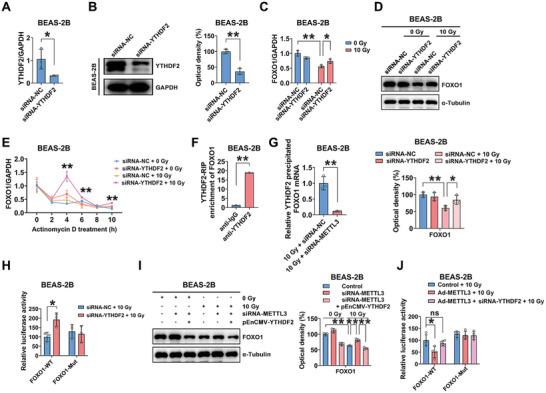 https://cdn.ncbi.nlm.nih.gov/pmc/blobs/a8a3/10265050/6a75c65ad34d/ADVS-10-2204784-g001.jpg