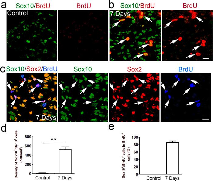 https://cdn.ncbi.nlm.nih.gov/pmc/blobs/a8a4/4549618/c4e3cce54894/srep13383-f2.jpg