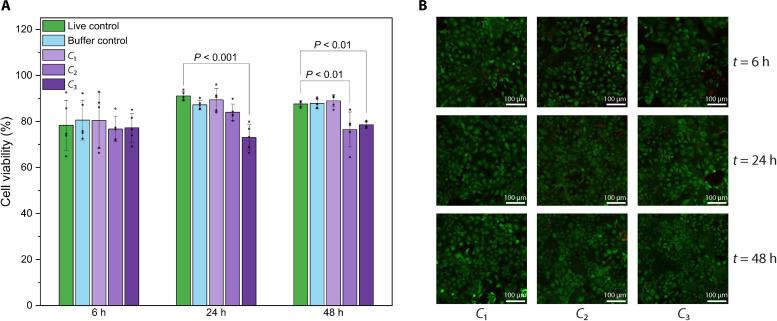 https://cdn.ncbi.nlm.nih.gov/pmc/blobs/a8a5/12077510/2169452b8315/sciadv.adt2653-f6.jpg