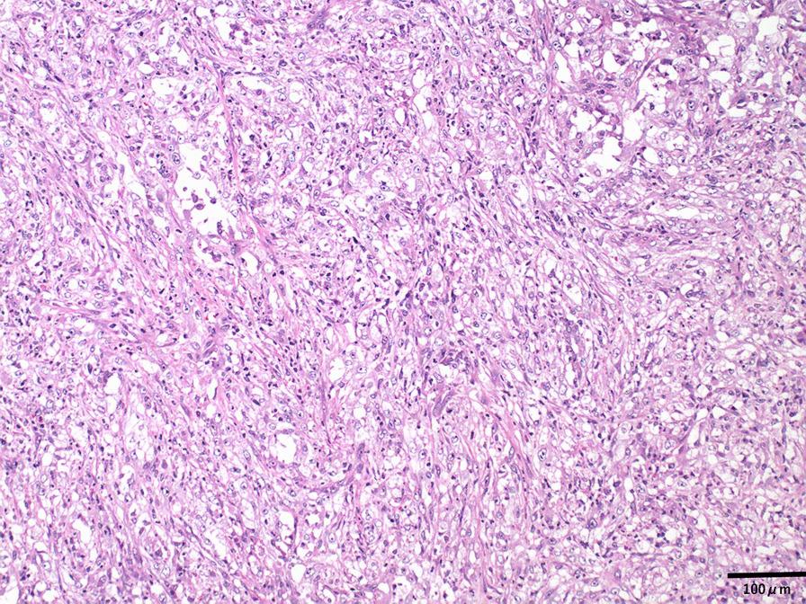 https://cdn.ncbi.nlm.nih.gov/pmc/blobs/a8a5/9116048/154645547e80/13256_2022_3426_Fig4_HTML.jpg