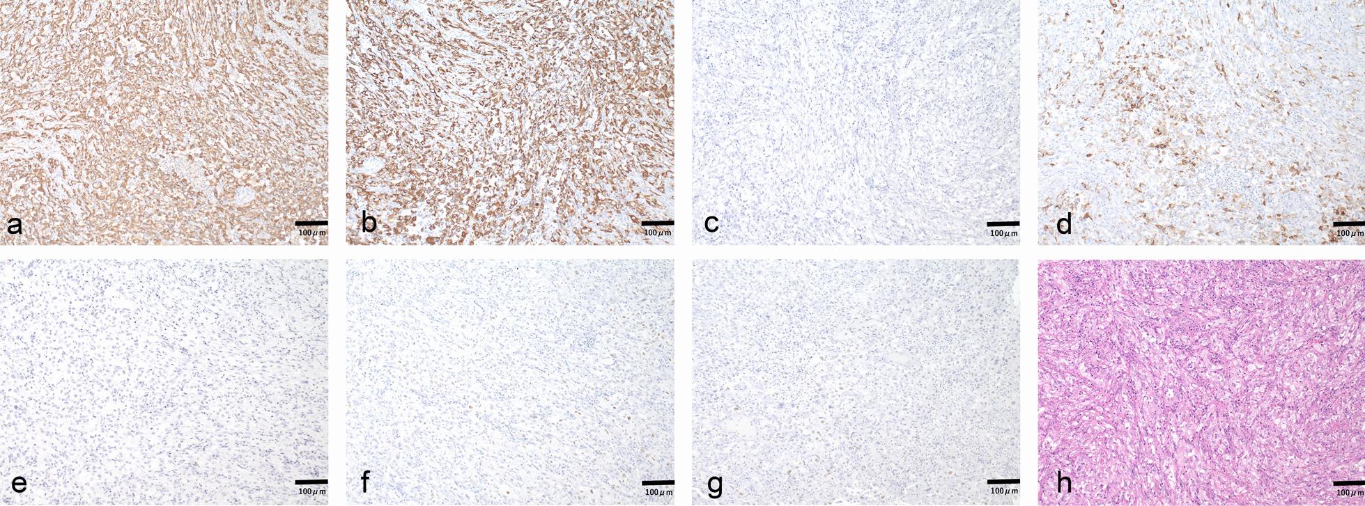 https://cdn.ncbi.nlm.nih.gov/pmc/blobs/a8a5/9116048/2a9aa81c1476/13256_2022_3426_Fig3_HTML.jpg