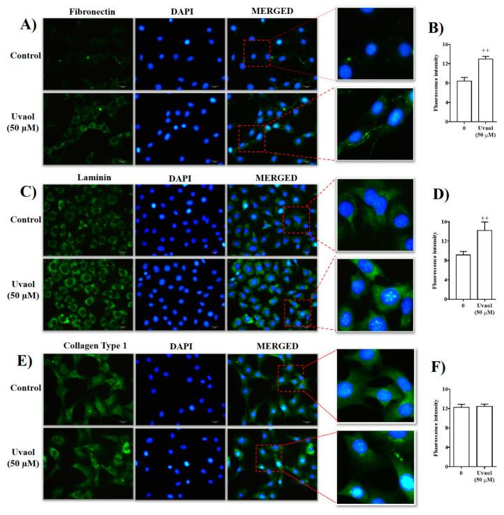 https://cdn.ncbi.nlm.nih.gov/pmc/blobs/a8a7/7662923/0c0d1ace4c07/molecules-25-04982-g004.jpg