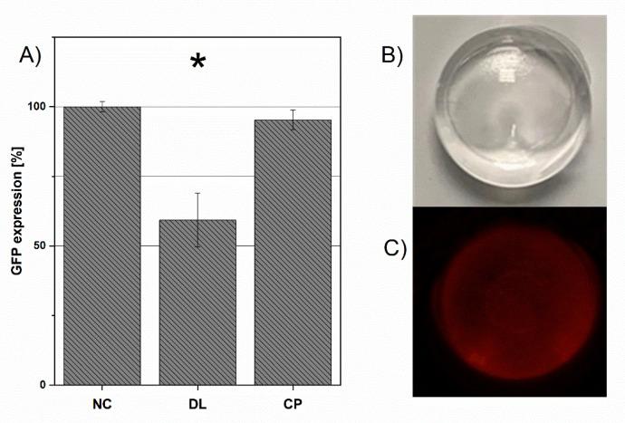 https://cdn.ncbi.nlm.nih.gov/pmc/blobs/a8a7/8540443/a018cd2a01d1/pharmaceutics-13-01546-g003.jpg
