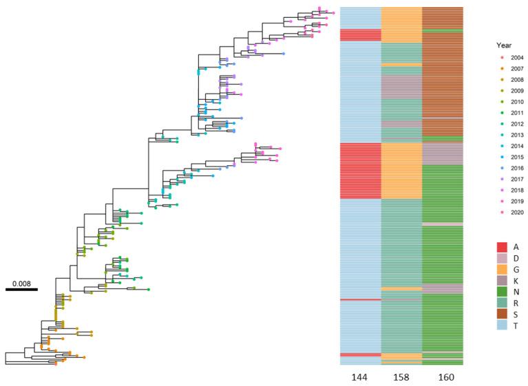 https://cdn.ncbi.nlm.nih.gov/pmc/blobs/a8aa/11512220/0256b9d72992/viruses-16-01515-g002.jpg