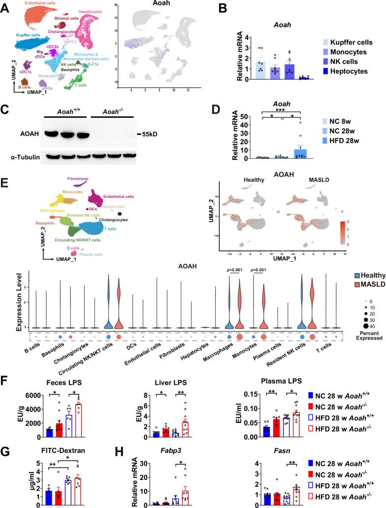 https://cdn.ncbi.nlm.nih.gov/pmc/blobs/a8aa/12021412/4dbc87119cc0/elife-100731-fig3.jpg