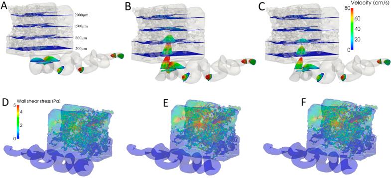 https://cdn.ncbi.nlm.nih.gov/pmc/blobs/a8aa/5244422/bca59608145b/srep40771-f1.jpg