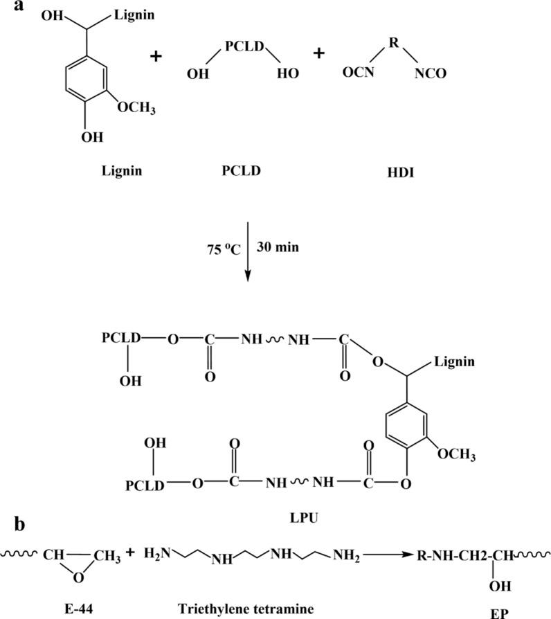 https://cdn.ncbi.nlm.nih.gov/pmc/blobs/a8ad/10249322/25503741670e/13068_2023_2355_Fig8_HTML.jpg