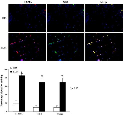 https://cdn.ncbi.nlm.nih.gov/pmc/blobs/a8ae/2821481/736202e50837/12079_2009_81_Fig3_HTML.jpg