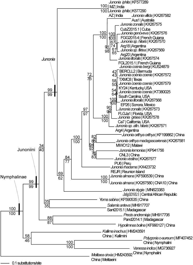 https://cdn.ncbi.nlm.nih.gov/pmc/blobs/a8ae/7720999/37c050a31608/TMDN_A_1693921_F0001_B.jpg