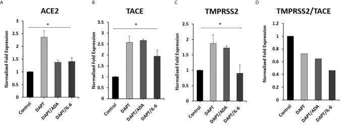 https://cdn.ncbi.nlm.nih.gov/pmc/blobs/a8ae/8134694/e6af95675348/fimmu-12-641295-g006.jpg