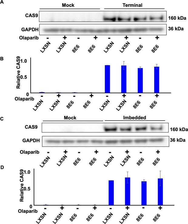 https://cdn.ncbi.nlm.nih.gov/pmc/blobs/a8b0/9897725/3652815d8748/elife-81923-fig2-figsupp1.jpg