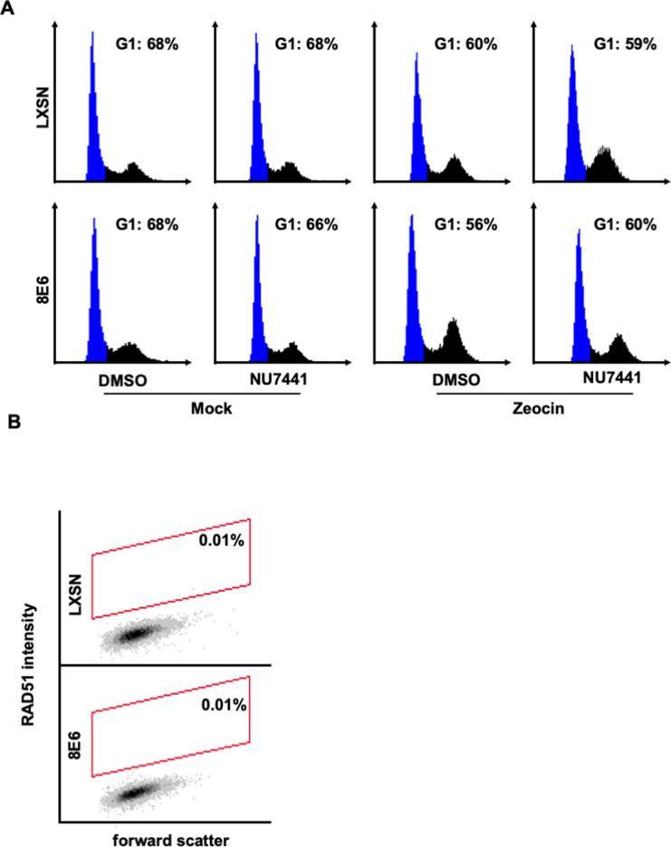 https://cdn.ncbi.nlm.nih.gov/pmc/blobs/a8b0/9897725/393f5e95095c/elife-81923-fig6-figsupp2.jpg