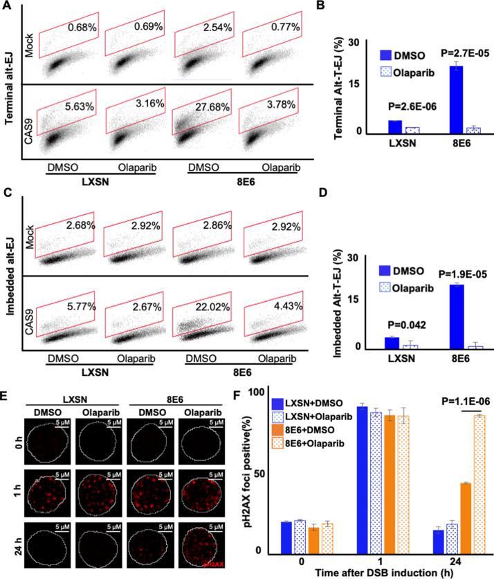 https://cdn.ncbi.nlm.nih.gov/pmc/blobs/a8b0/9897725/3c68c82ef98c/elife-81923-fig2.jpg
