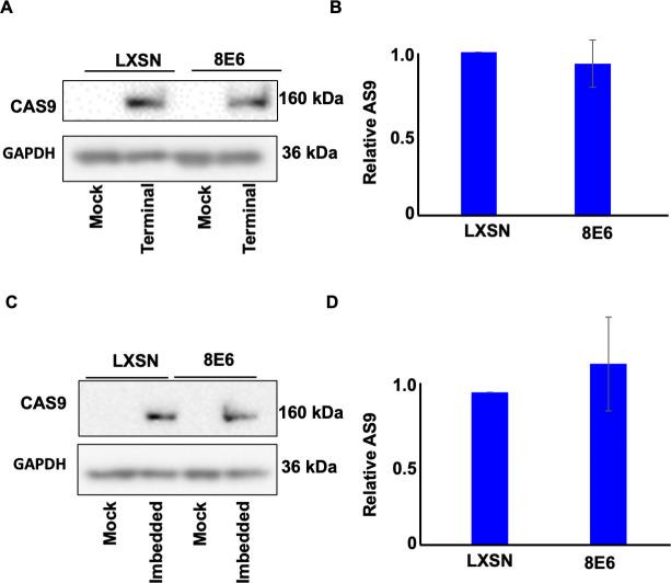 https://cdn.ncbi.nlm.nih.gov/pmc/blobs/a8b0/9897725/3e1a632b3e6e/elife-81923-fig1-figsupp1.jpg