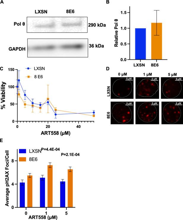 https://cdn.ncbi.nlm.nih.gov/pmc/blobs/a8b0/9897725/675c536d36fe/elife-81923-fig3.jpg