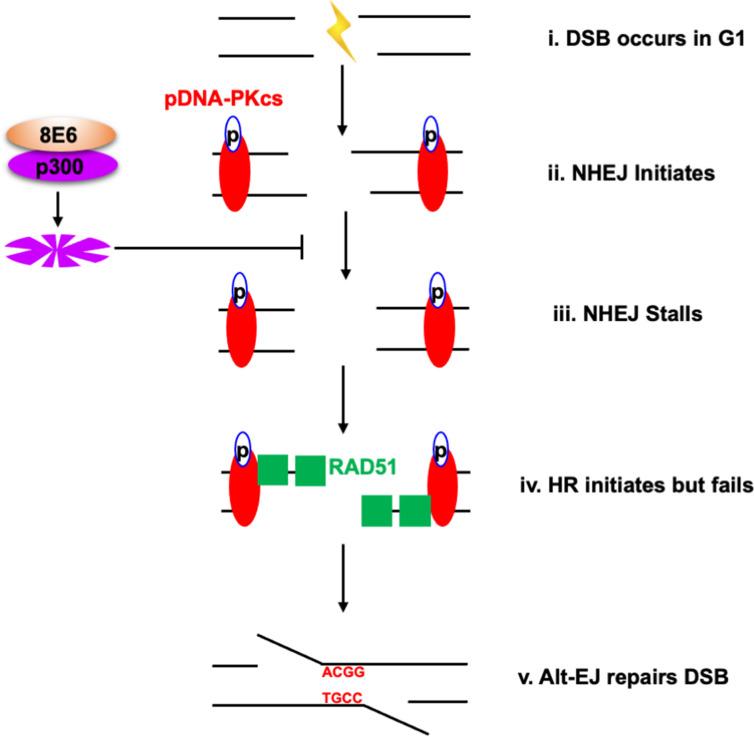 https://cdn.ncbi.nlm.nih.gov/pmc/blobs/a8b0/9897725/74ea52e27b43/elife-81923-fig10.jpg
