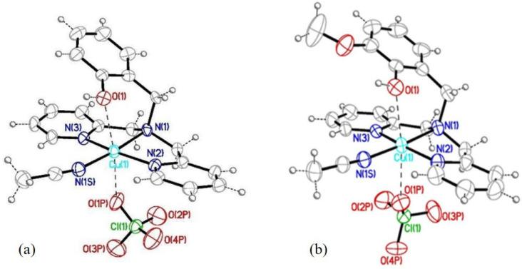 https://cdn.ncbi.nlm.nih.gov/pmc/blobs/a8b1/12388300/71fe1aca0df3/molecules-30-03419-g003.jpg