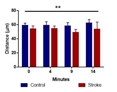 https://cdn.ncbi.nlm.nih.gov/pmc/blobs/a8b1/6320462/e2afd6d27b90/CHSJ-44-2-118-fig1.jpg